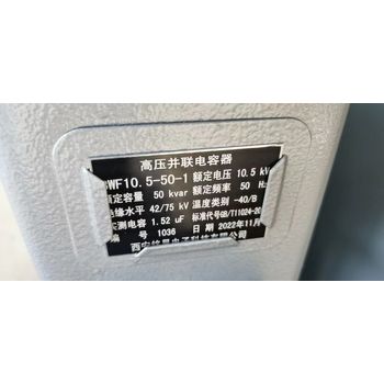 工廠BWF10.5-50-1W高壓并聯(lián)電容器