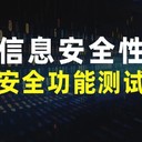 軟件功能性能測試、安全測試