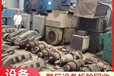 深圳龍崗工廠車間鋼結構回收廢舊廠房拆除