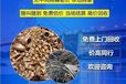 廣州開發(fā)區(qū)整廠舊設備回收工廠搬遷整廠回收電話