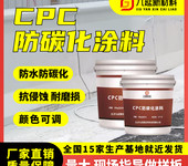 防碳化涂層抗侵蝕抗衰延長(zhǎng)混凝土使用壽命色差修復(fù)平色涂料防水