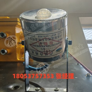 礦用本安型熱釋紅外傳感器ZP-12R紅外線感應(yīng)