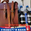 AP5型便攜式甲烷傳感器校驗(yàn)儀