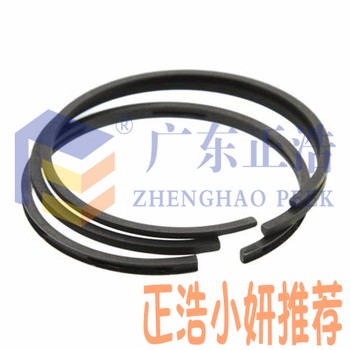 廣東正浩創(chuàng)新攻堅?極地考察裝備應(yīng)用——PEEK活塞環(huán)