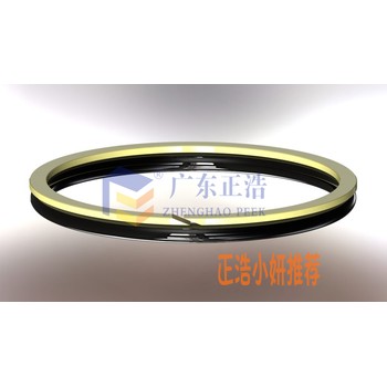 廣東正浩行業(yè)?PEEK橋梁抗震加固材料——PEEK選渡環(huán)