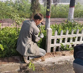 水泥護欄廠家，山東水泥護欄廠家，山東仿木水泥護欄
