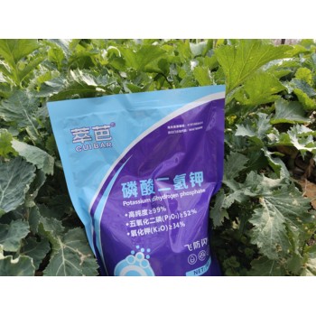 健壯植株促芽分化?；ū９桶诺聡桶?>
                        </div>
                        <div   class=