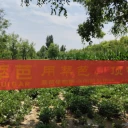 萃芭生態(tài)肥7月客戶好評