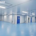 凈化工程如何影響生物制藥成本結(jié)構(gòu)/豐磊凈化工程裝修