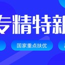 鞏義市服務(wù)型制造創(chuàng)新企業(yè)漯河本地企業(yè)團隊申報項目