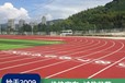 廣州塑膠跑道施工_廣州籃球場施工_廣州足球場人造草坪鋪設