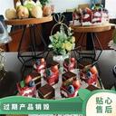 東莞東坑鎮(zhèn)專注食品銷毀質(zhì)量問(wèn)題食品銷毀處理