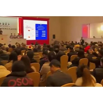 正規拍賣公司2025征集