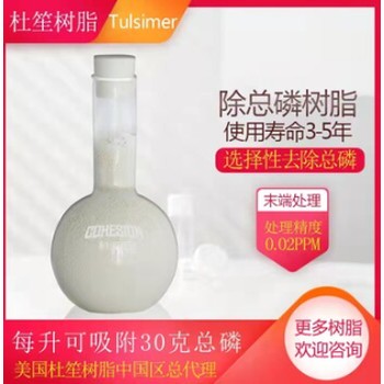 含汞廢水除汞樹脂CH-95治理案例