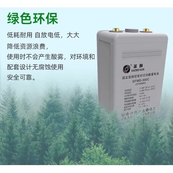圣陽蓄電池廠家出售，鉛酸免維護蓄電池