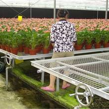 定制耐腐蝕移動(dòng)育苗裝備-航迪苗床廠源頭工廠圖片