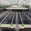 全自動物流苗床床溫室花卉灌溉育苗床大棚種植智能養(yǎng)花省人工