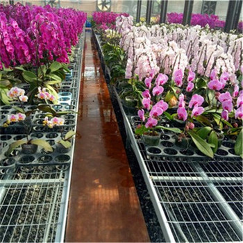 航迪移動(dòng)苗床盆栽育苗床網(wǎng)片加工自動(dòng)化牧草栽培用