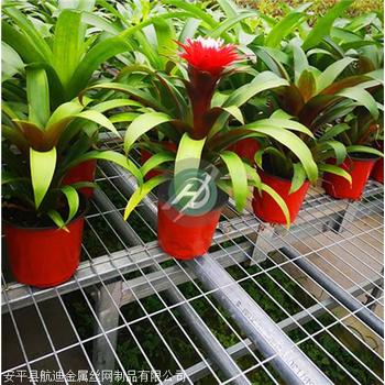 移動苗床溫室大棚花卉種植作物育苗用