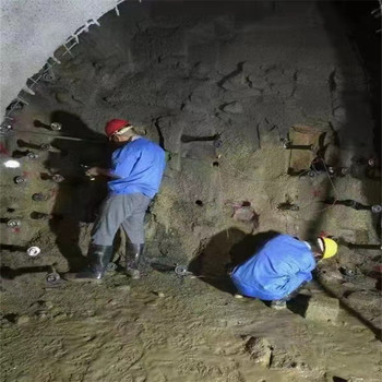 福建莆田電塔基礎二氧化碳一次性爆破管產品