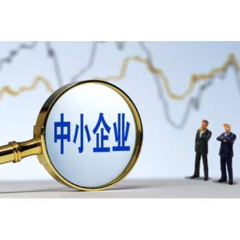 專精特新中小企業(yè)申報(bào)條件