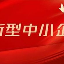 創(chuàng)新型中小企業(yè)認(rèn)定條件