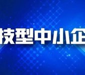 國家科技型中小企業之優惠政策