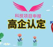 企業生存盤活借勢科技項目-高新