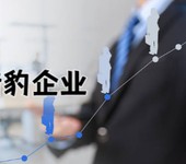 未來可成長的企業—獵豹