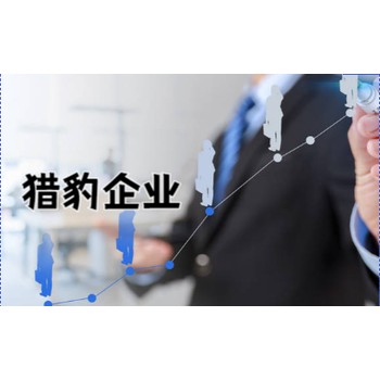 未來(lái)可成長(zhǎng)的企業(yè)—獵豹