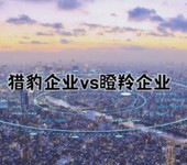 獵豹企業和瞪羚企業