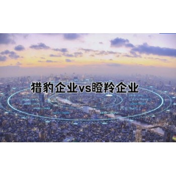 獵豹企業(yè)和瞪羚企業(yè)
