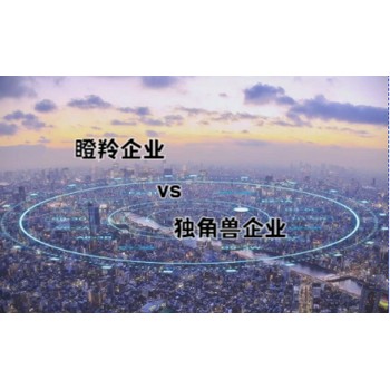 瞪羚企業(yè)和讀角獸企業(yè)