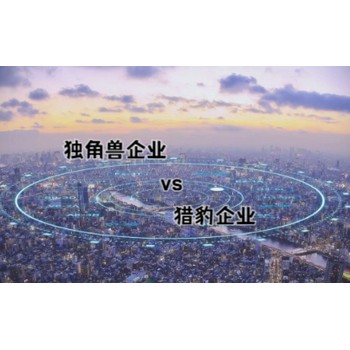 讀角獸企業(yè)和獵豹企業(yè)的區(qū)別