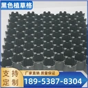環(huán)保植草格：創(chuàng)新綠化，穩(wěn)固承載的理想之選