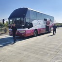 煙臺(tái)到亳州的客車(票價(jià)/班次+汽車時(shí)刻表)