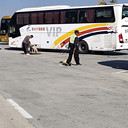 淄博到南充的直達汽車長途大巴(常年發(fā)車團體包車)