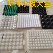 成都地下室復(fù)合排水板經(jīng)濟(jì)實(shí)惠圖片