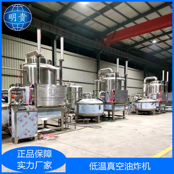 果蔬脆加工設備，低溫真空油炸機，300kg