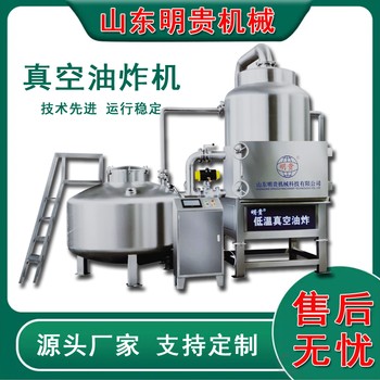 蘋果片加工設備低溫真空油炸機