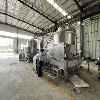 蘋果片加工設備低溫真空油炸機