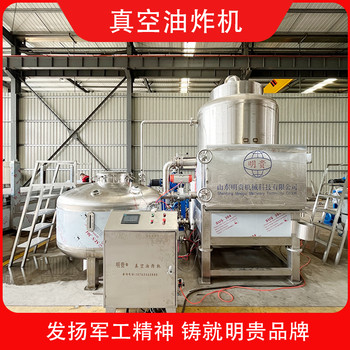 蘋果片加工設備低溫真空油炸機