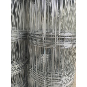 沙漠治理防護(hù)網(wǎng)/果園圍欄網(wǎng)/圈山圈地圍欄