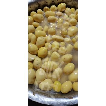 山東濰坊明貴土豆蒸汽去皮機(jī)土豆去皮設(shè)備時產(chǎn)2噸