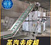 葡萄明貴蒸汽去皮機時產2噸設備
