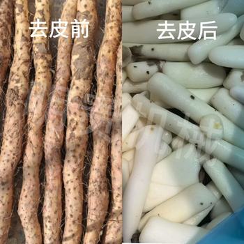明貴山藥蒸汽去皮機(jī)時(shí)產(chǎn)3噸