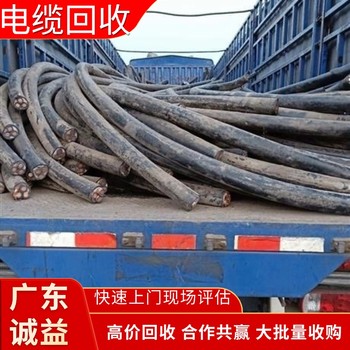 廣東江門工廠剩余電纜回收專注公司