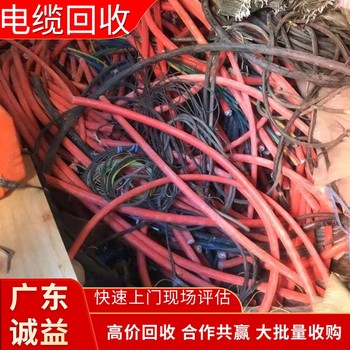 廣東東莞專注電纜舊電纜回收專注公司