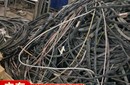 佛山南海電力電纜回收-現(xiàn)款結(jié)算圖片