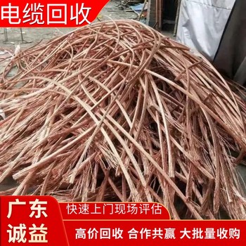 廣州白云區專注電纜回收舊電纜回收公司現款結算